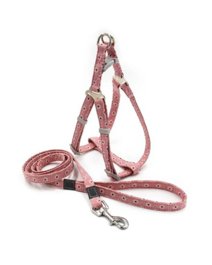 No-pull adjustable dog harness set with 1.2m leash in canvas print, suitable for Pitbulls and medium to large dogs.