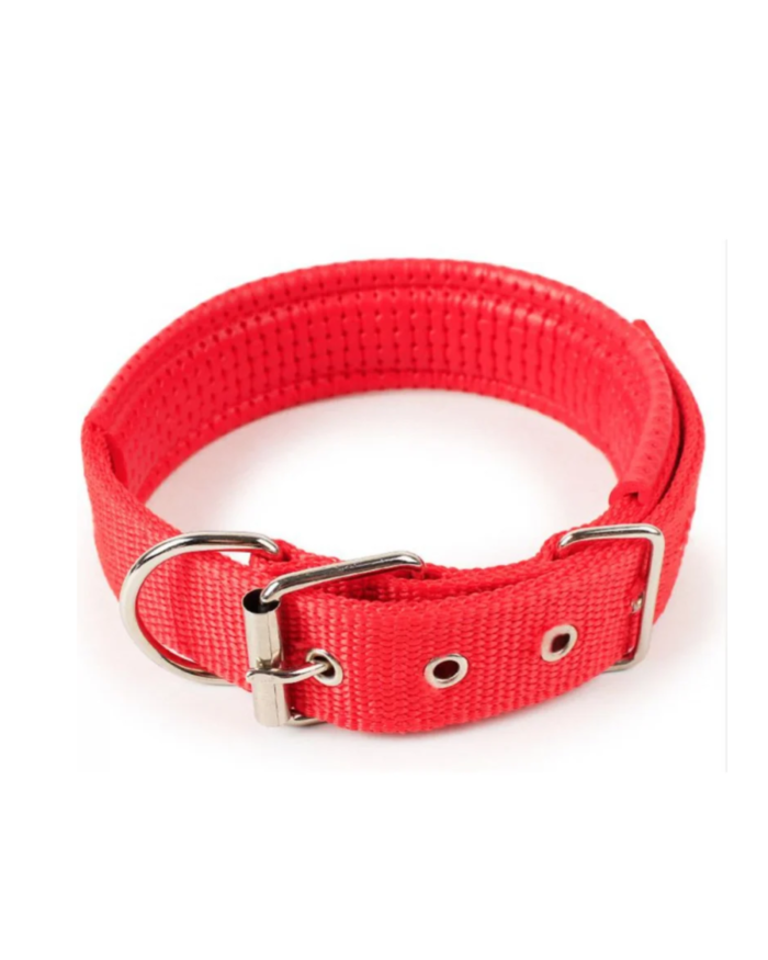 Pet Foam Dog Collars