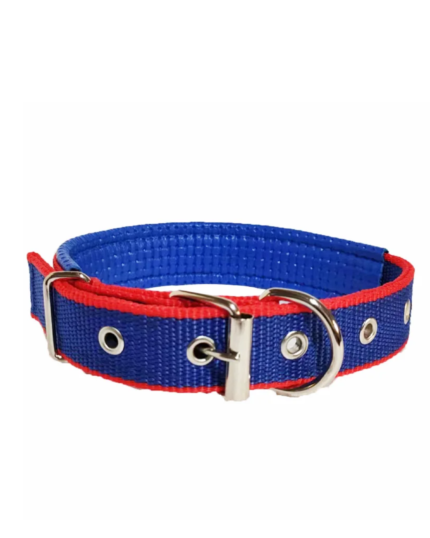 Polypropylene Pet Foam Dog Collars