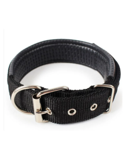 Polypropylene Pet Collar