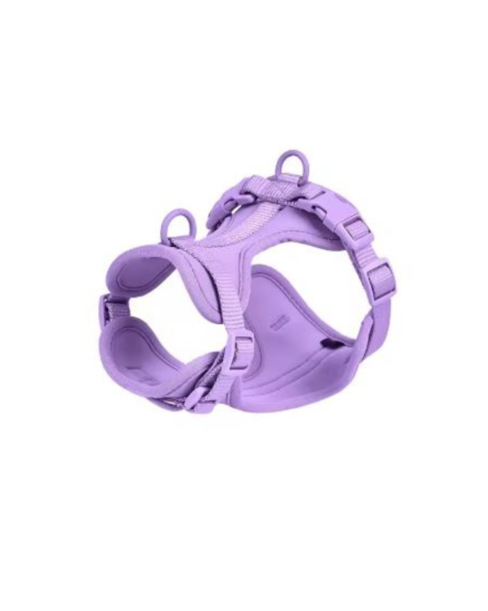 Candy Color Dog Harness