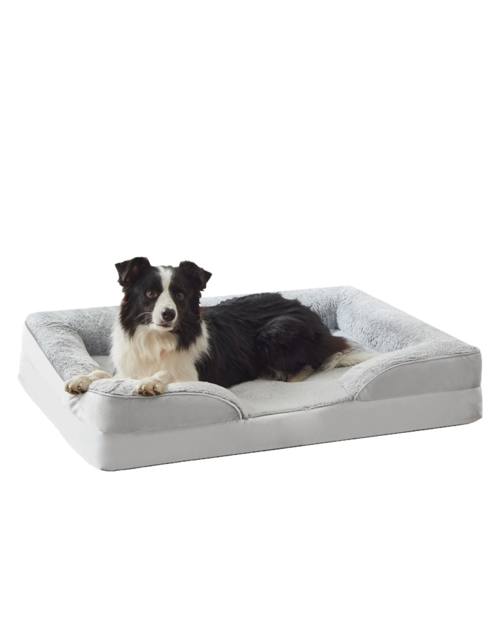 orthopedic dog bed