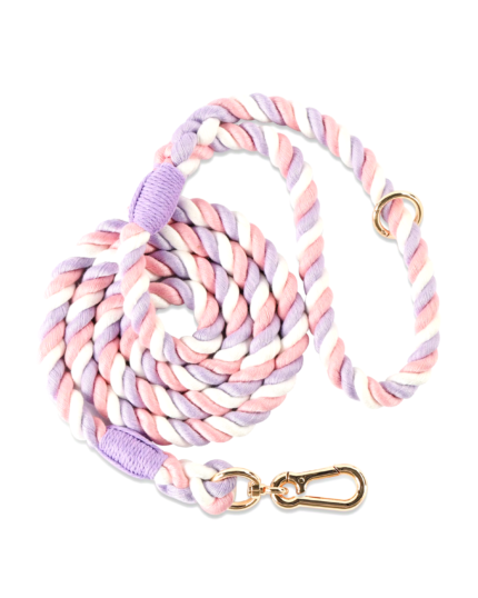 Rainbow rope dog leash with vibrant gradient colors