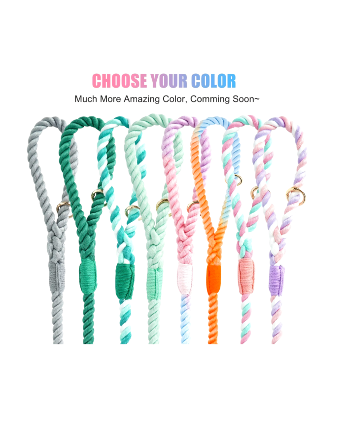 Rainbow rope dog leash