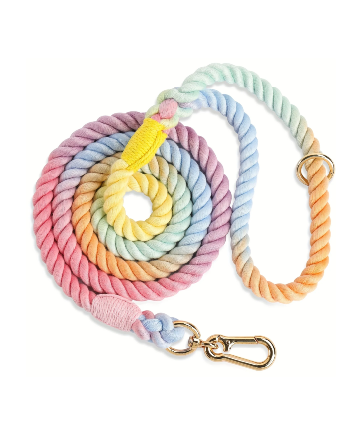 Rainbow rope dog leash with vibrant gradient colors and a strong metal clasp.