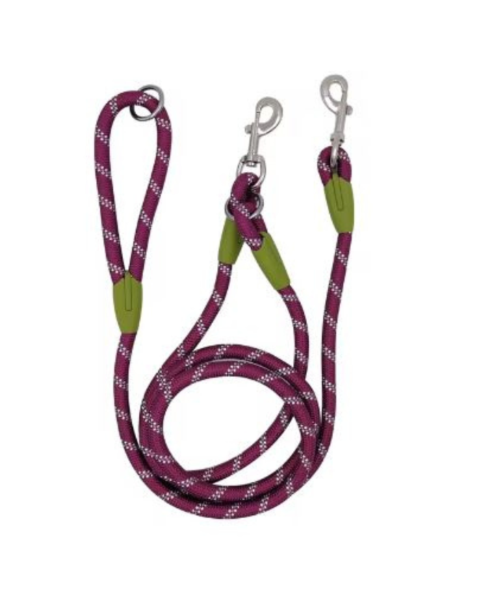 Reflective Nylon Dog Leash