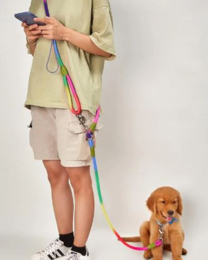 Reflective nylon dog leash by CAWAYI KENNEL, hands-free leash for small and large dogs, ideal for running and walking.